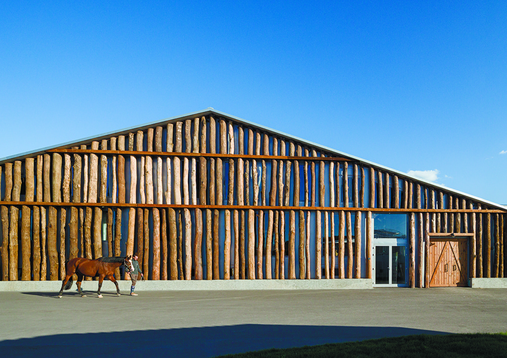 Конный клуб в Харькове. Фото: Андрей Авдеенко