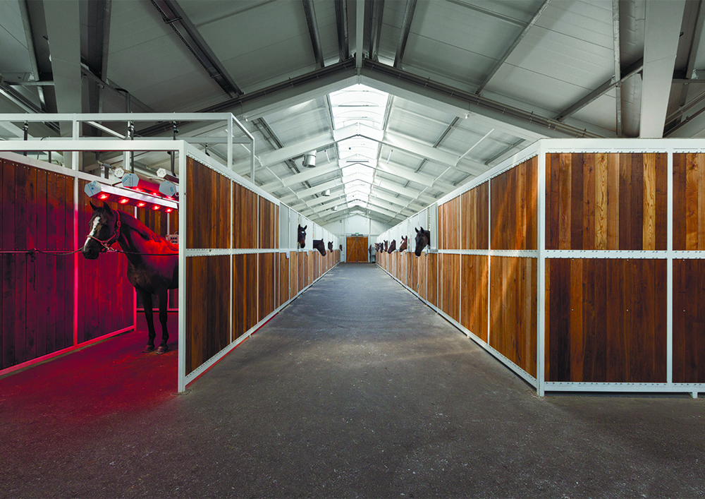 Конный клуб в Харькове. Фото: Андрей Авдеенко