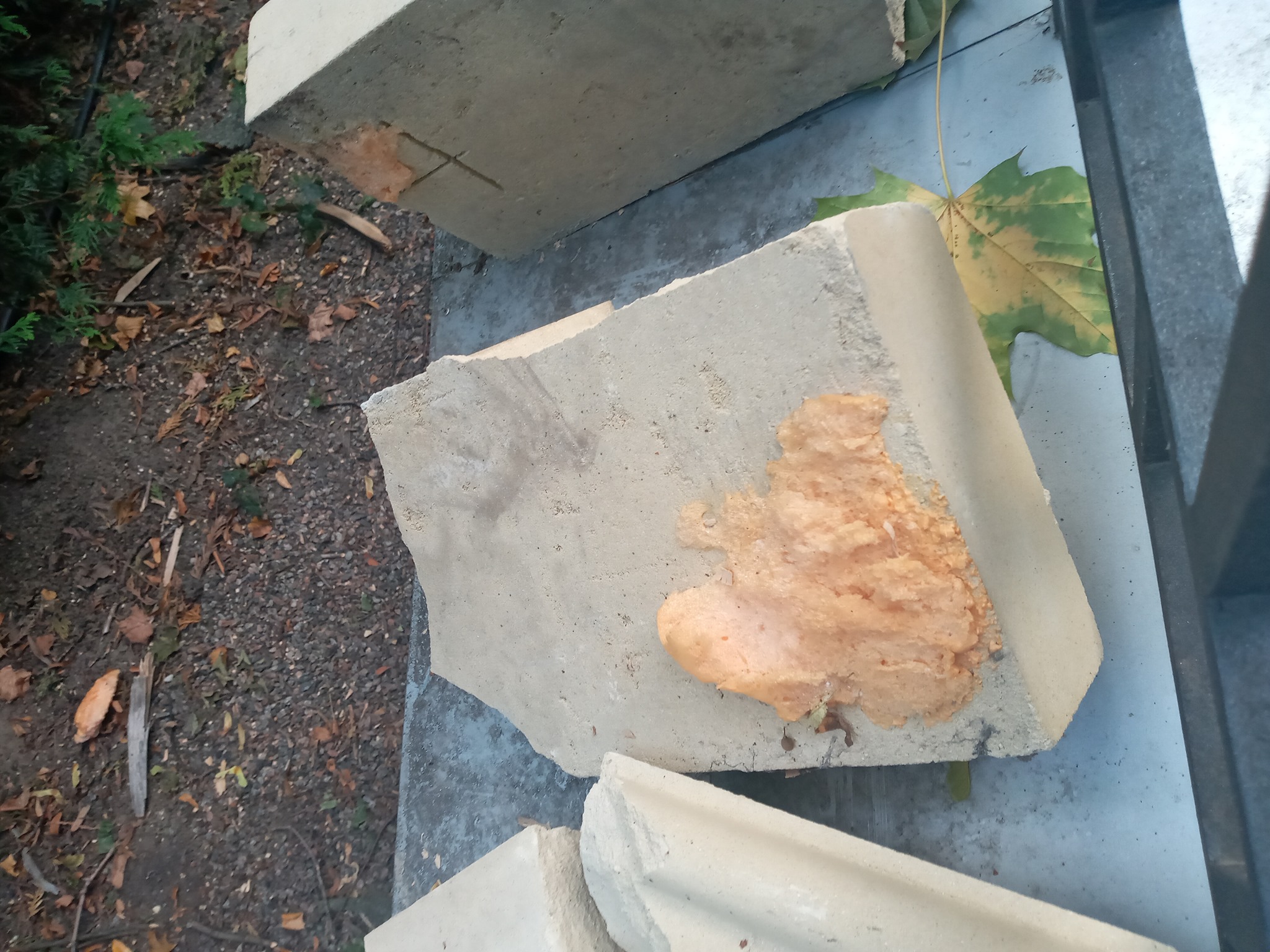 Ограждение Мариинского дворца. Фото: Александр Билецкий