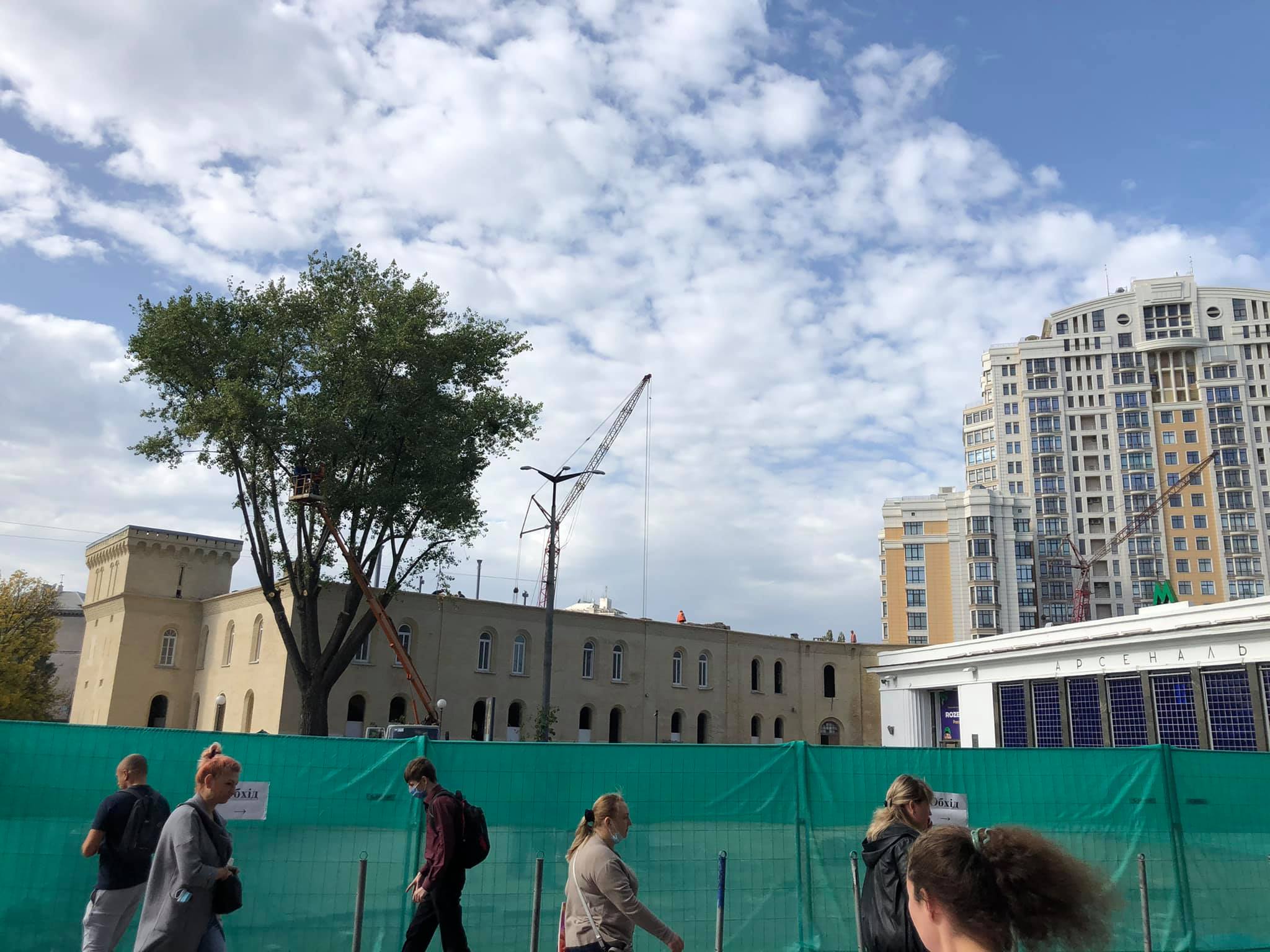 Так себе реконструкция: на Арсенальной площади вырубили деревья фото 1