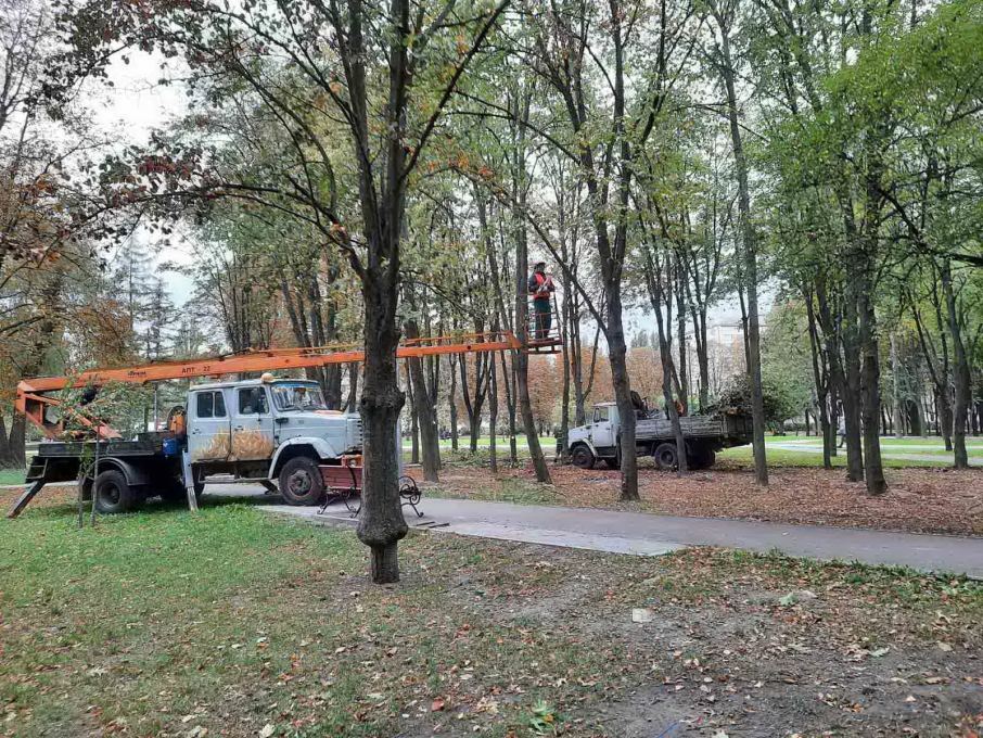 Озеленили: как продвигается реконструкция парка "Юность" на Борщаговке фото 2 1