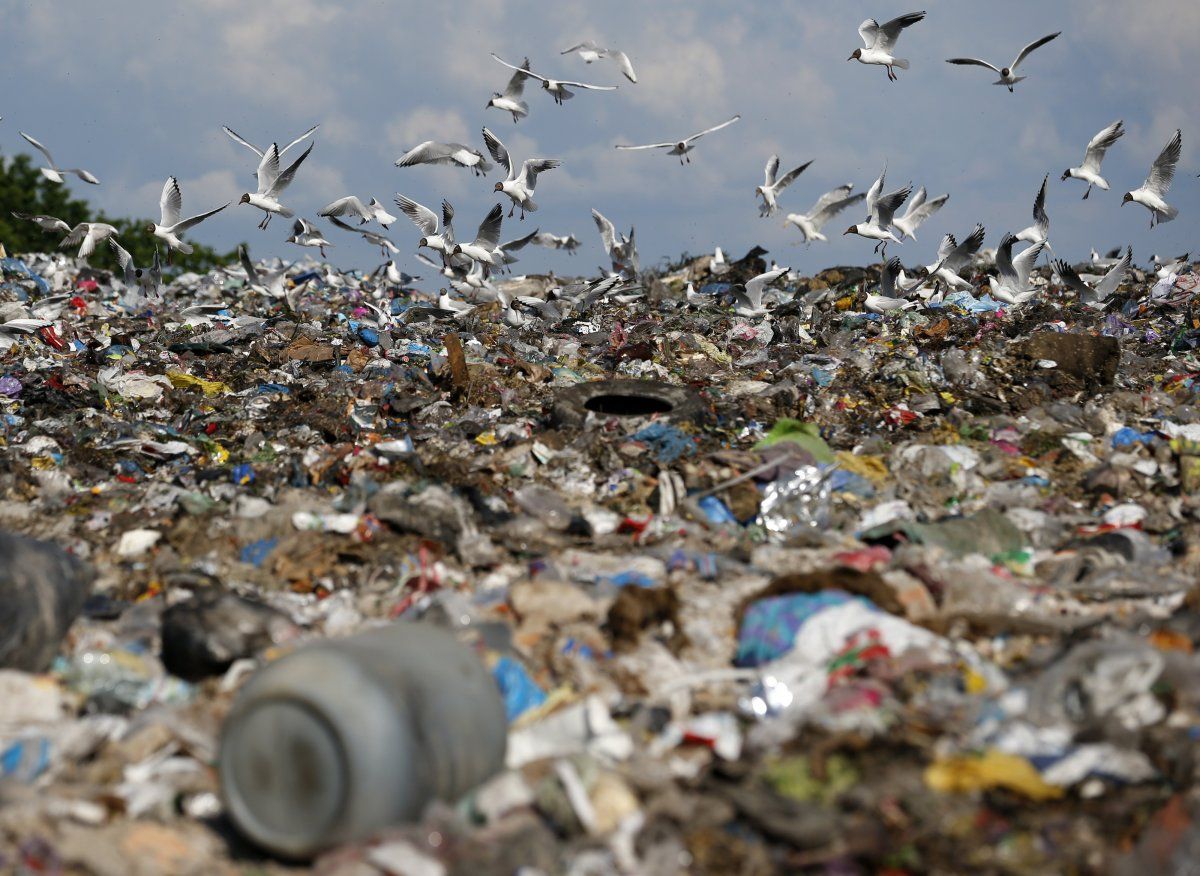 Свалка в Подгорцах. Фото: ТСН