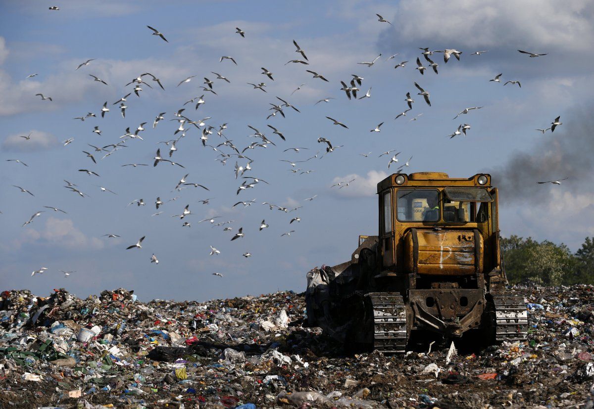 Свалка в Подгорцах. Фото: ТСН