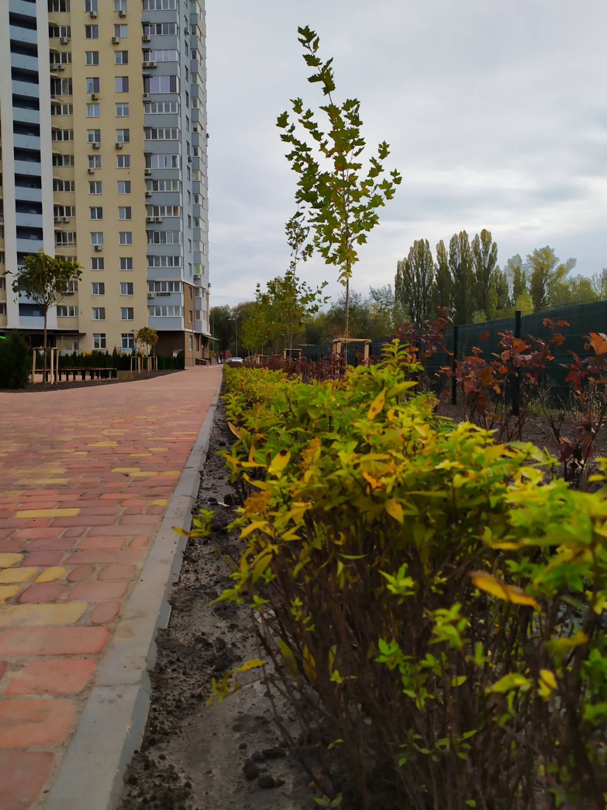 Сквер на Теремках. Фото: "Киевзеленбуд"