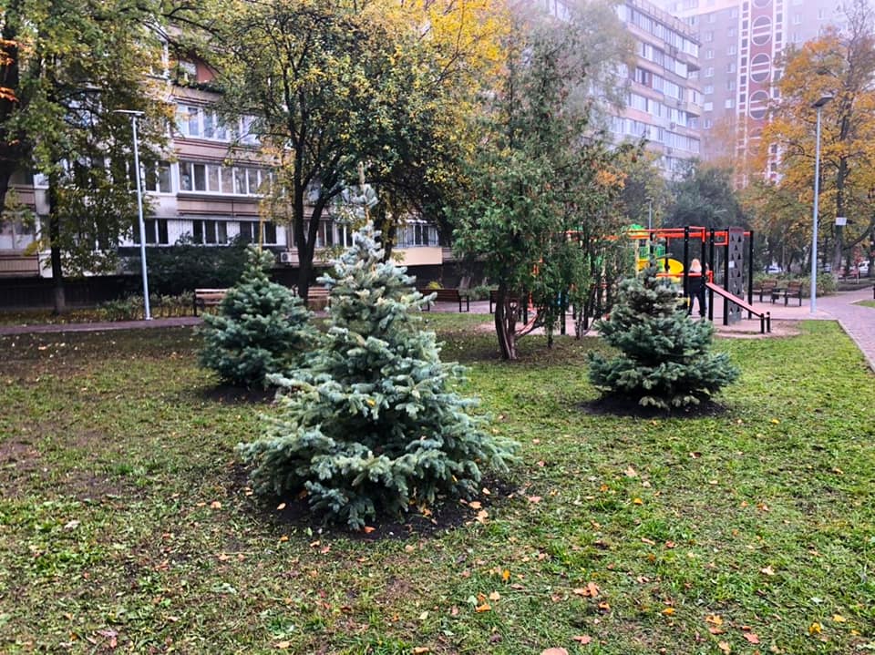 Скверик на Лукьяновке. Фото: Facebook "Киевзеленбуд"
