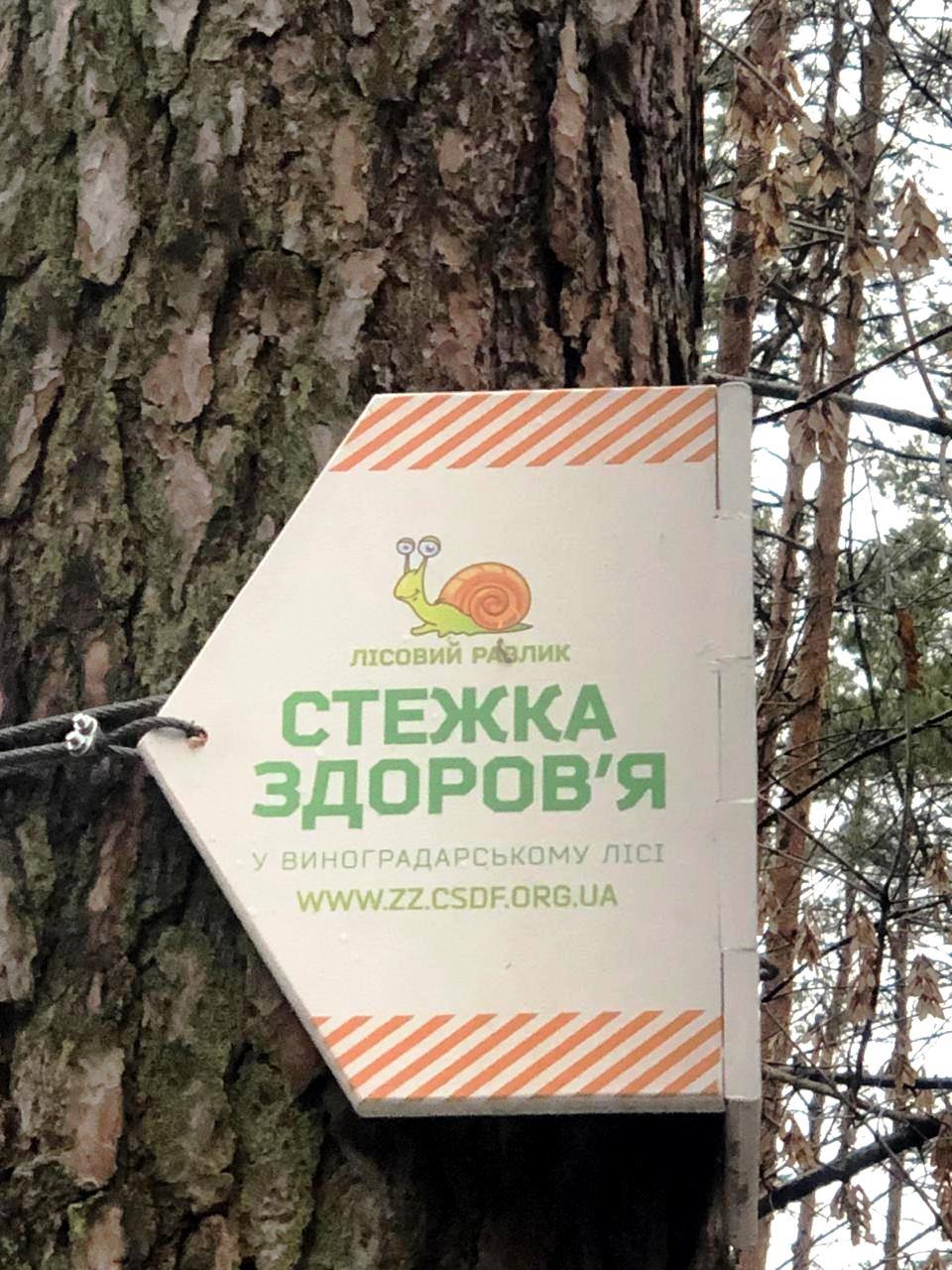 Тропинка здоровья в Виноградарском лесу. Фото: "Киевзеленбуд"