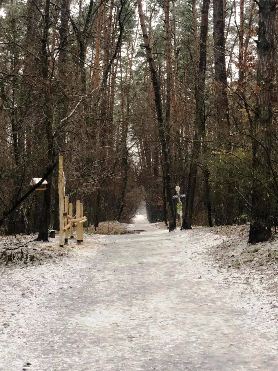 Тропинка здоровья в Виноградарском лесу. Фото: "Киевзеленбуд"