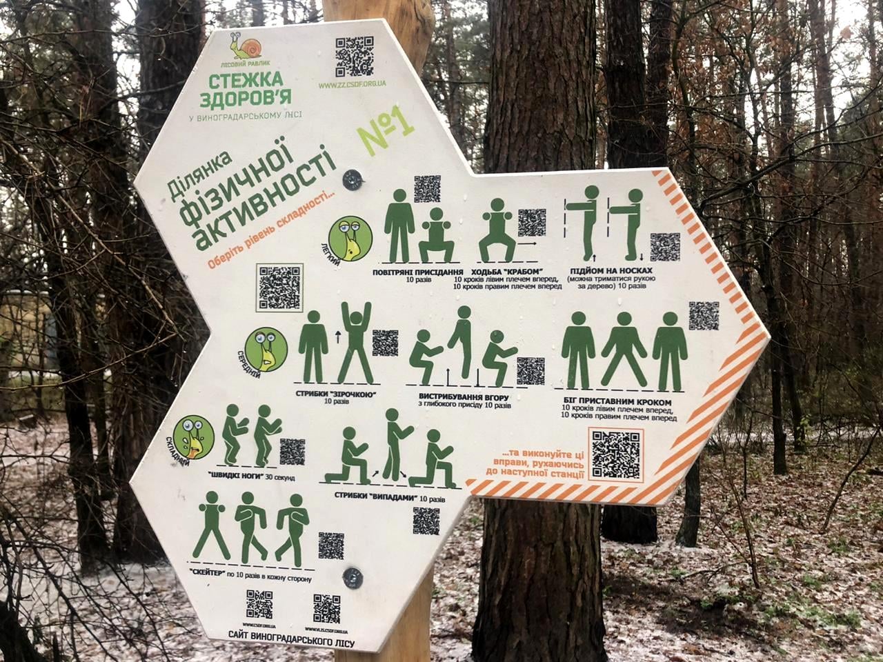 Тропинка здоровья в Виноградарском лесу. Фото: "Киевзеленбуд"