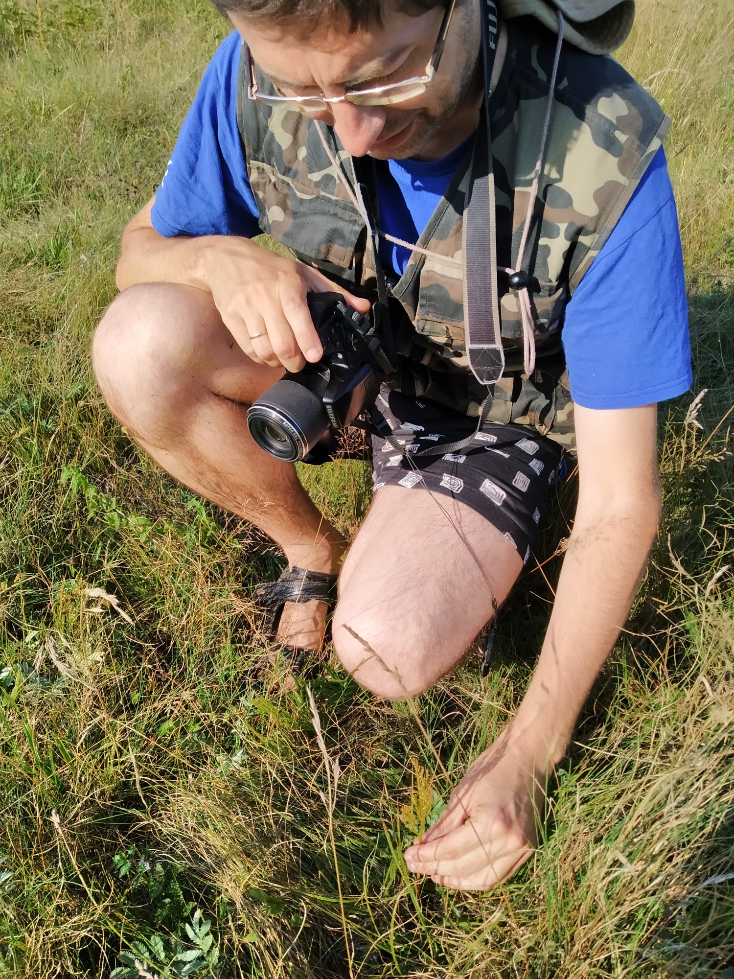 Под Киевом растут цветы из Красной книги: экологи о них позаботятся фото 2 1