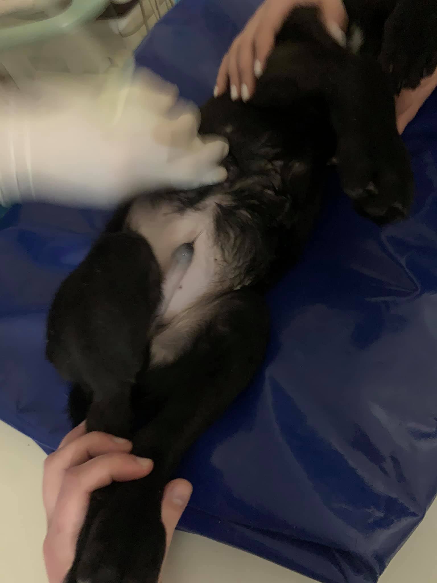 Фото: Facebook Лев Ременев