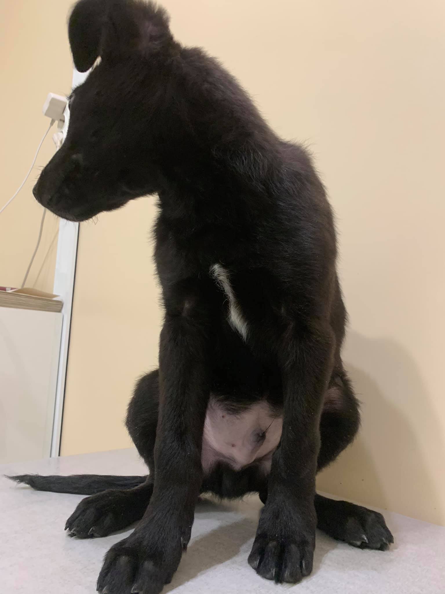 Фото: Facebook Лев Ременев