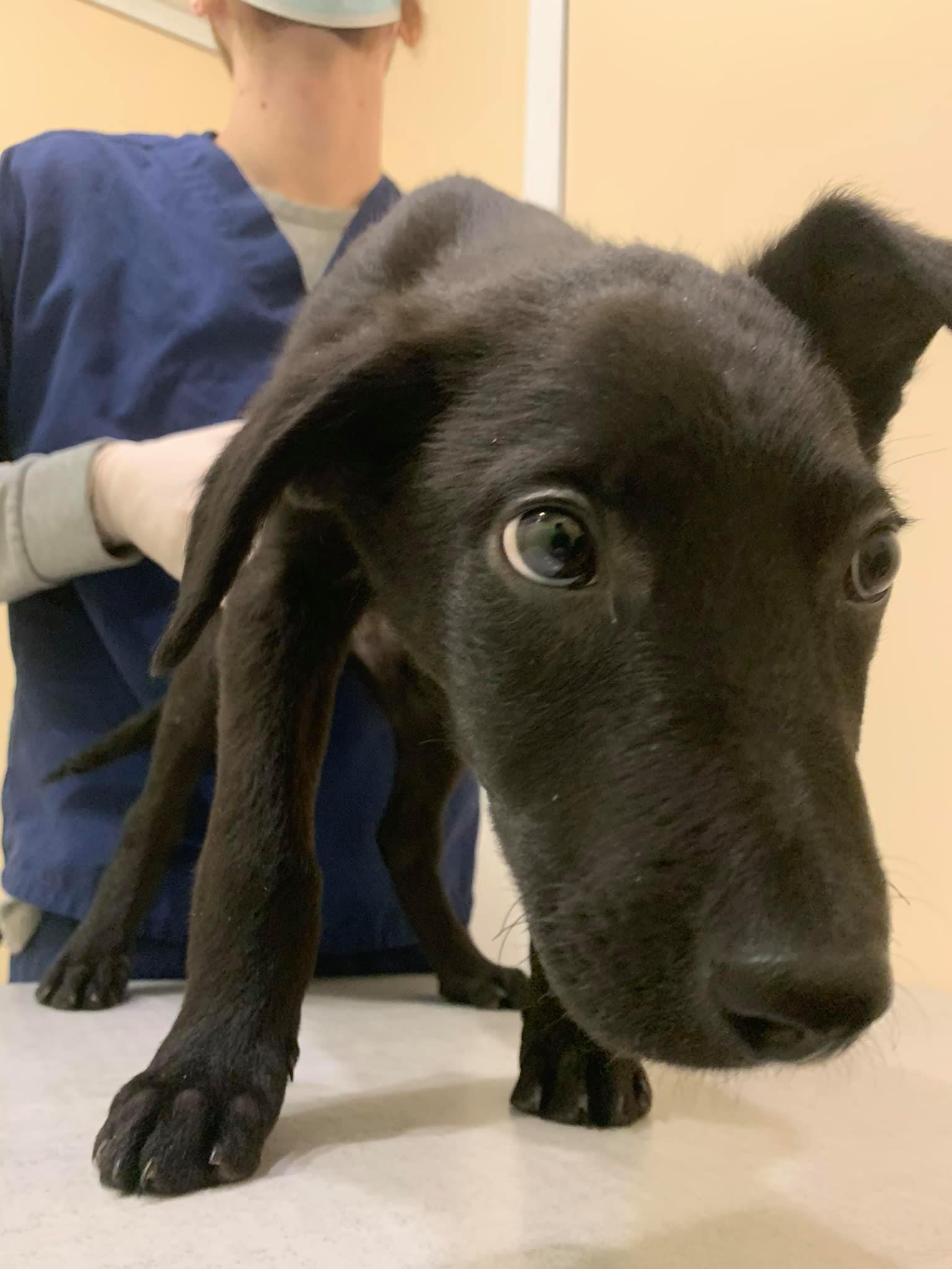 Фото: Facebook Лев Ременев