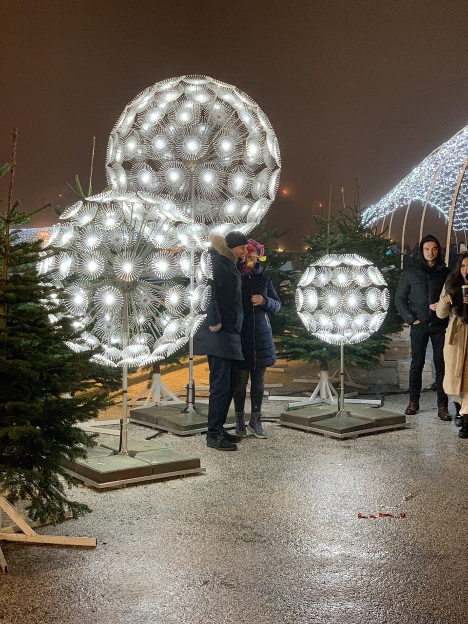 Самые яркие зимние локации Киева фото 7 6