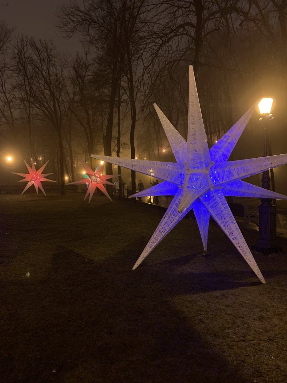 Самые яркие зимние локации Киева фото 10 9