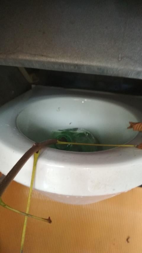 До Европы не дойдем: на Хрещатике вандалы поломали новый автоматизированный туалет фото 1