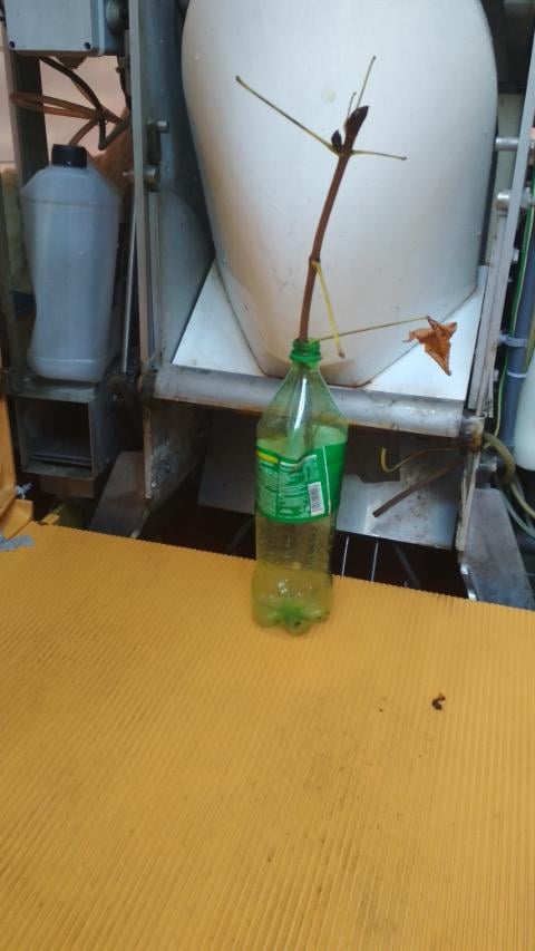 До Европы не дойдем: на Хрещатике вандалы поломали новый автоматизированный туалет фото 3 2