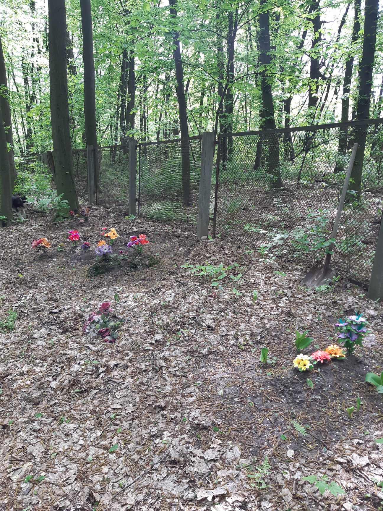 Фото: Сергей Слабоус