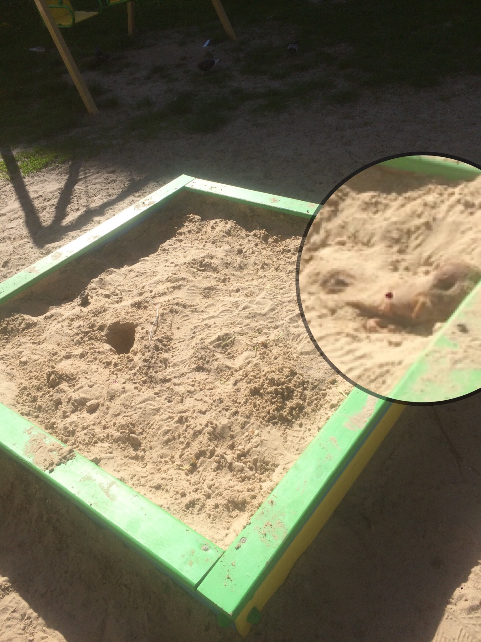 Фото: Facebook/Дани Эла