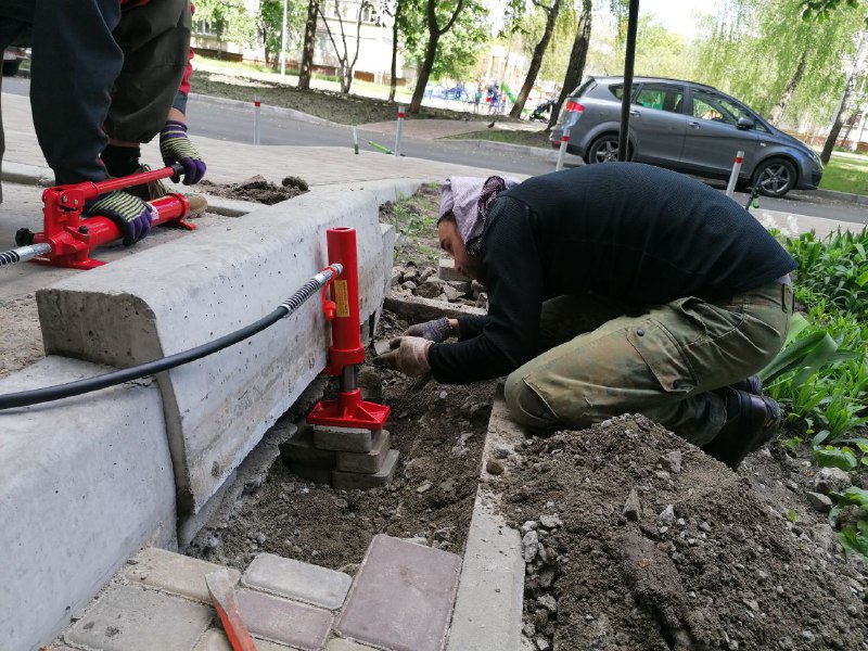 Фото: Kyiv Animal Rescue Group