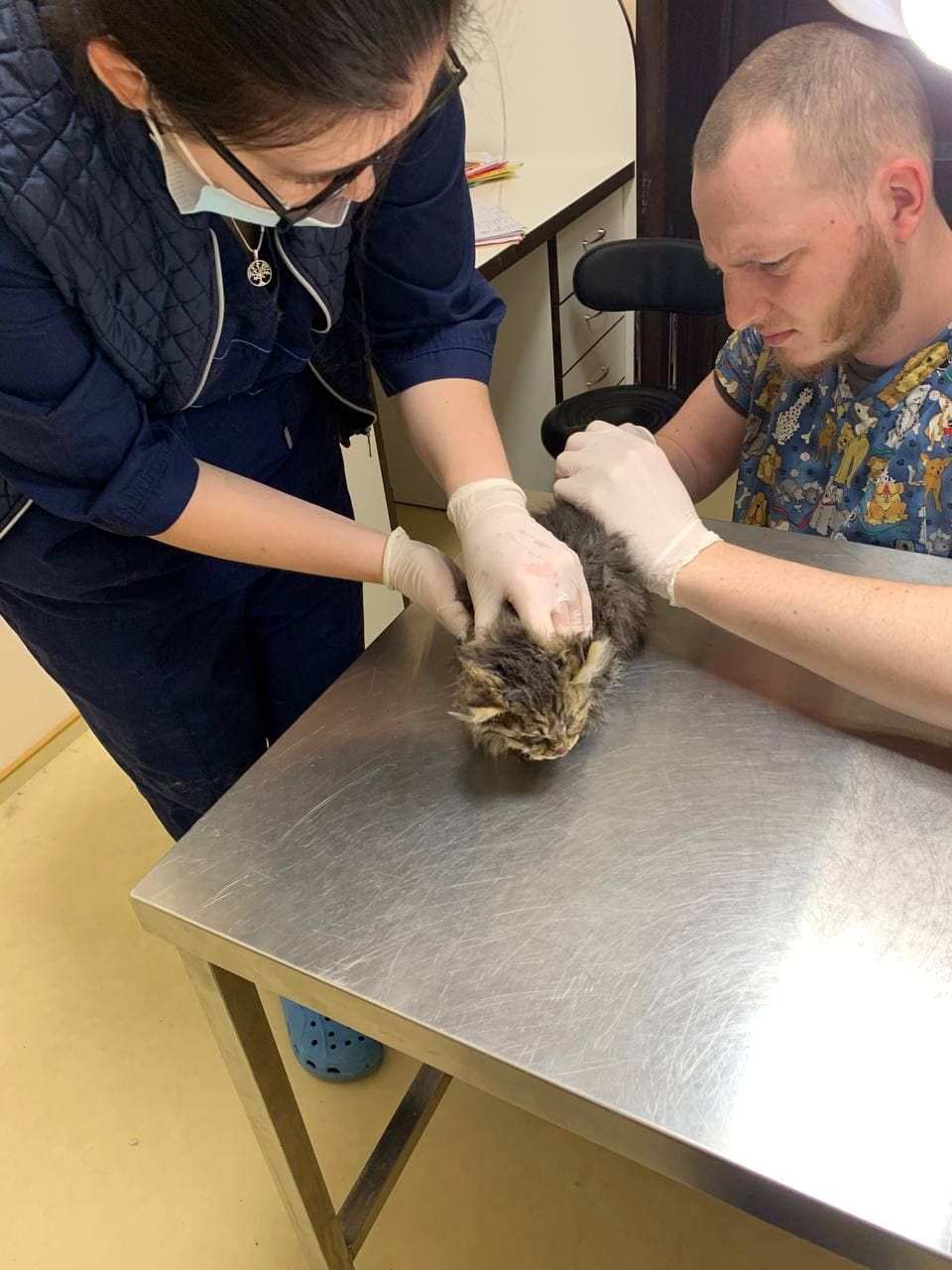 Фото: ДСНС Киева