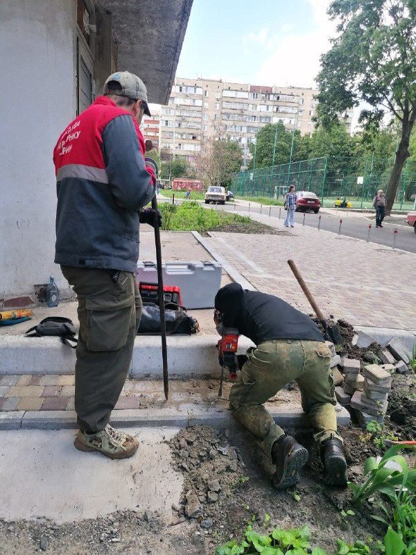 Фото: Kyiv Animal Rescue Group