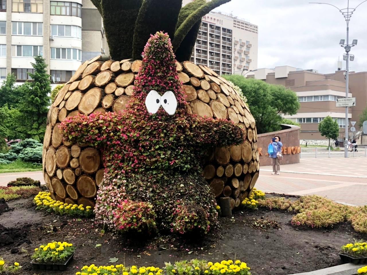 Фото: "Киевзеленбуд"