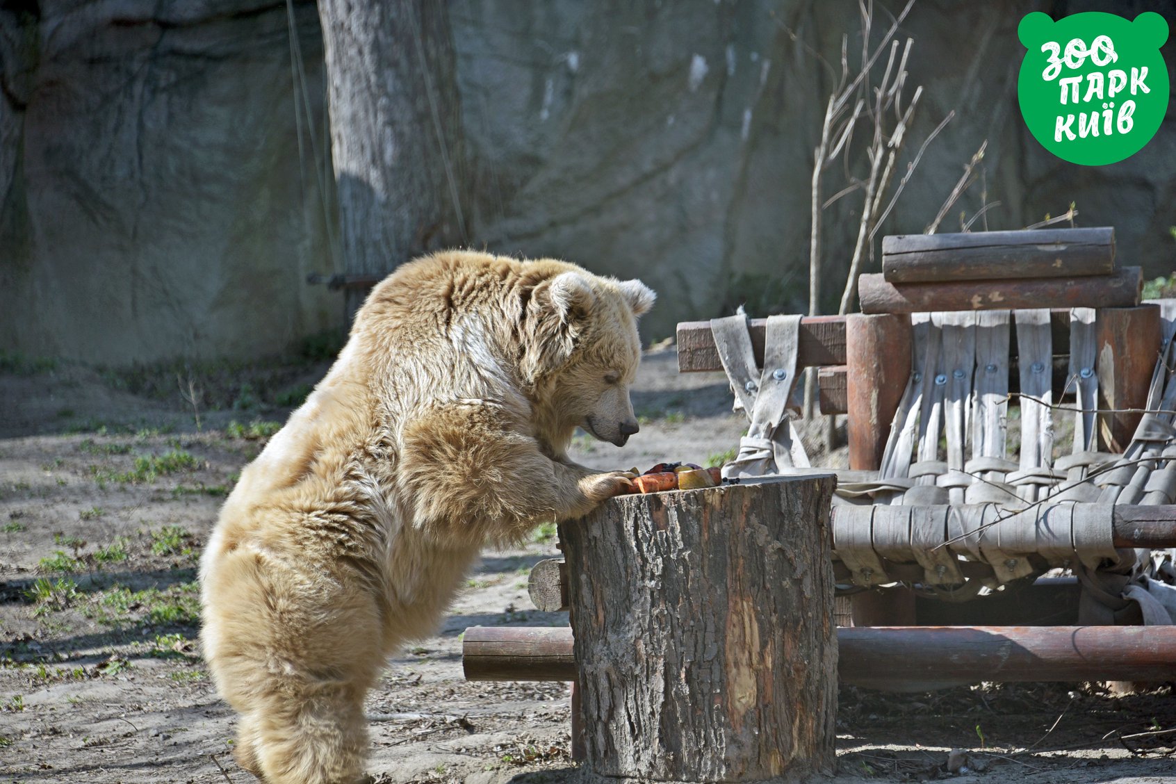 Фото: Киевский зоопарк