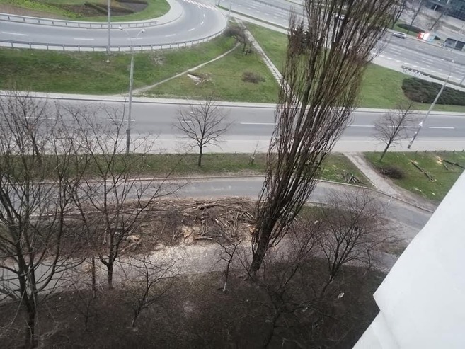 Фото: "Хмарочос"