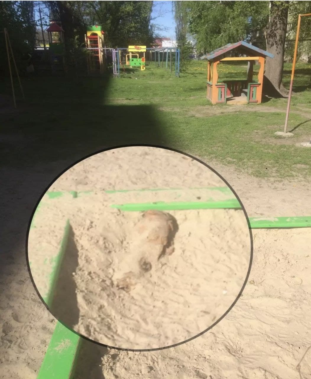 Фото: Facebook/Дани Эла