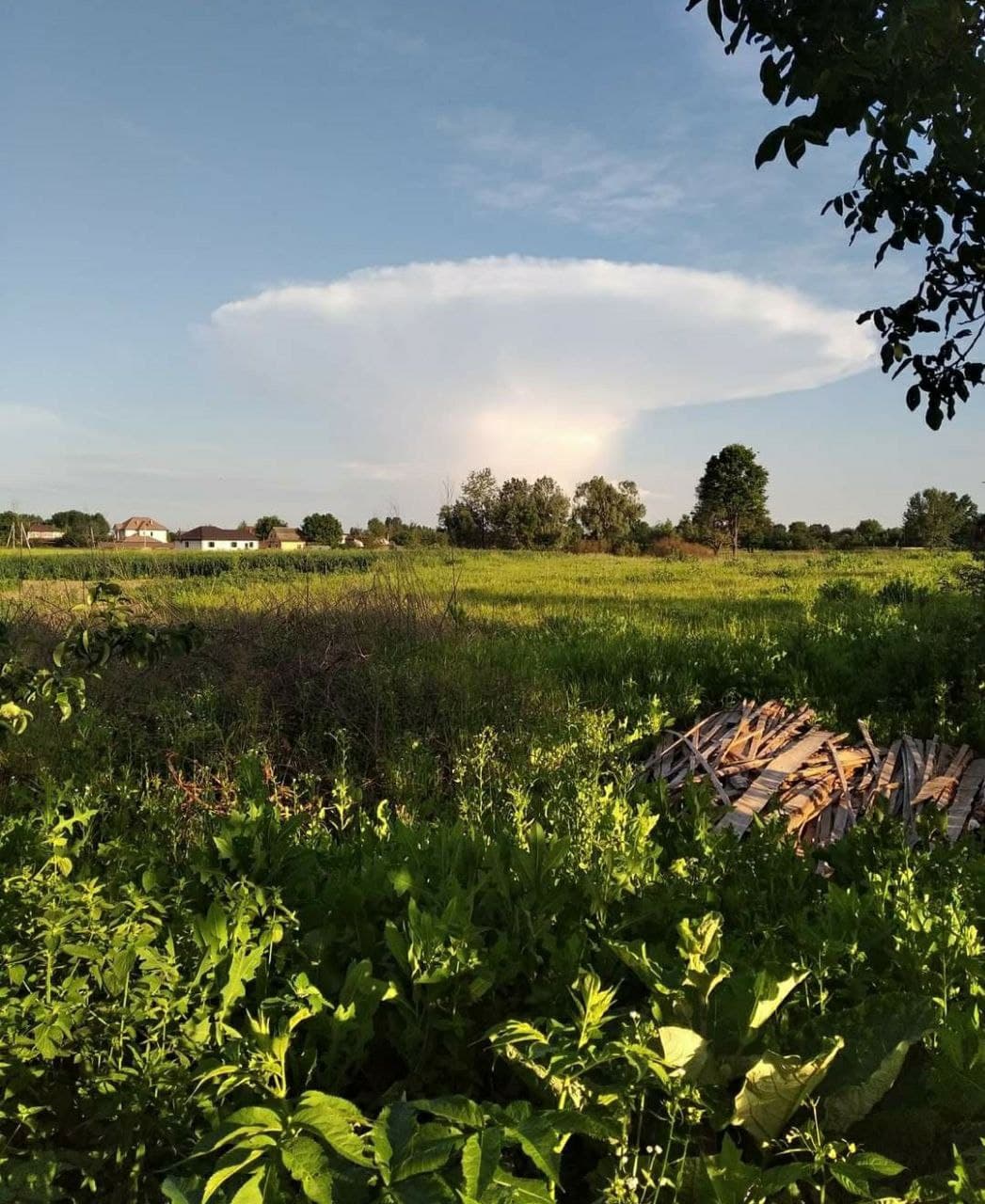 Фото: соцсети