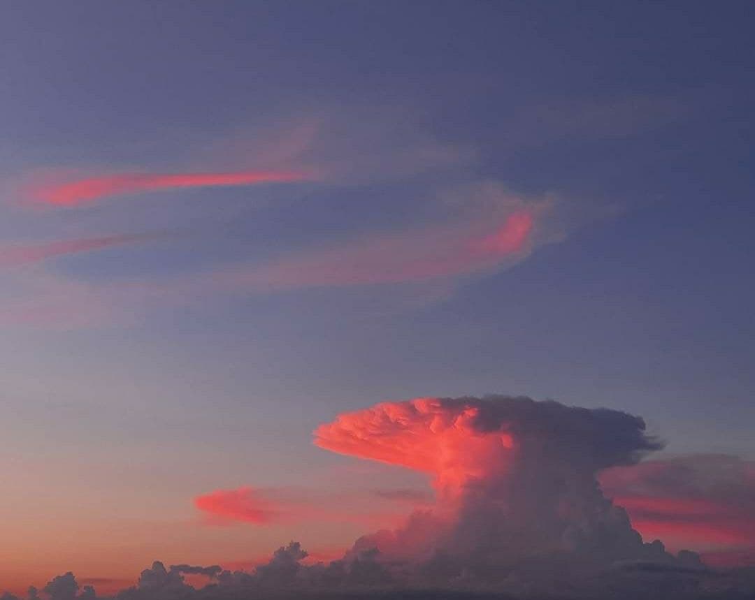 Фото: соцсети