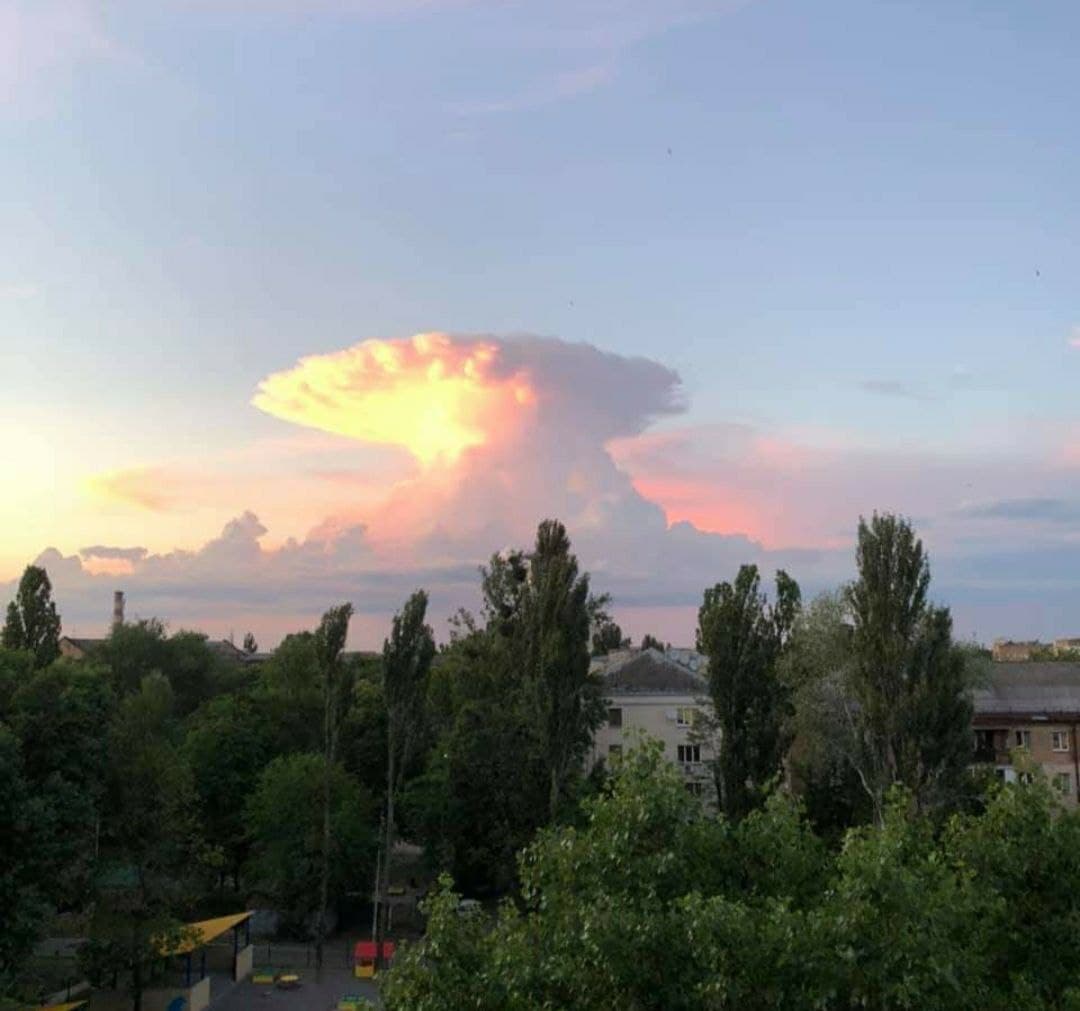 Фото: соцсети