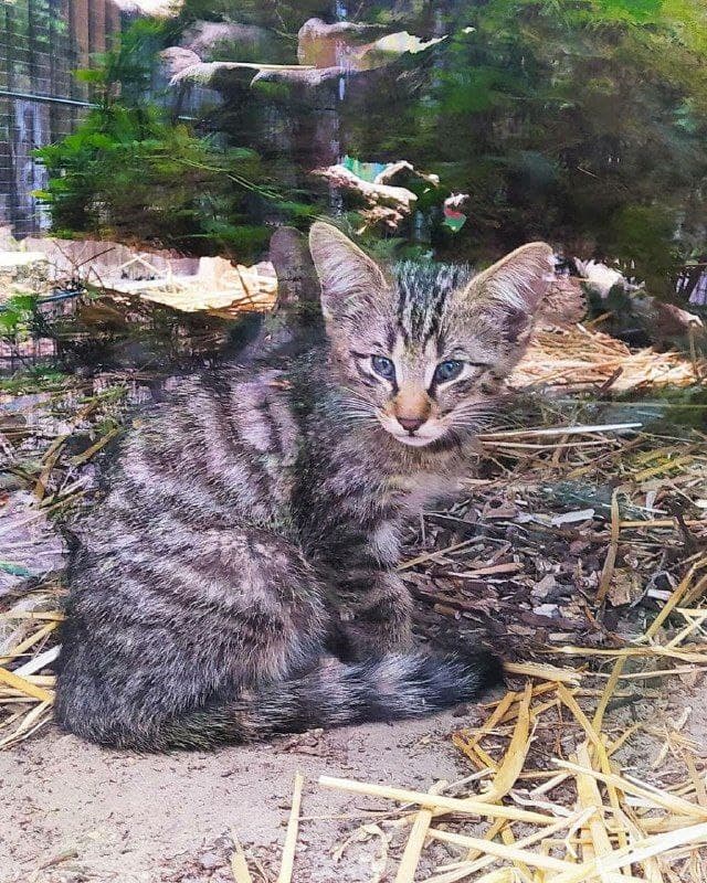 Фото: "Сегодня"