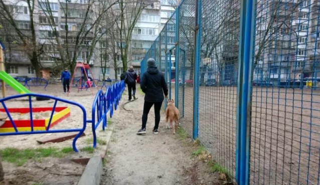 Хозяевам приходится выгуливать собак рядом с детскими площадками. Фото: brovary.net