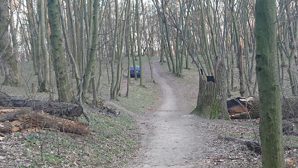 Автомобилисты нарушают "сезон" тишины в Голосеевском парке Фото: Соседи. Голосеево