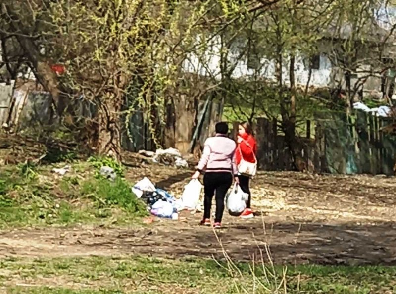 Нарушительницы попалис с поличным. Фото: Киевзеленстрой