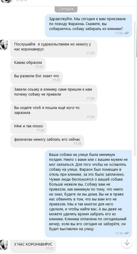 Переписка с хозяйкой собаки.