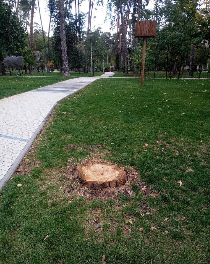 Фото: Парки Дарницы