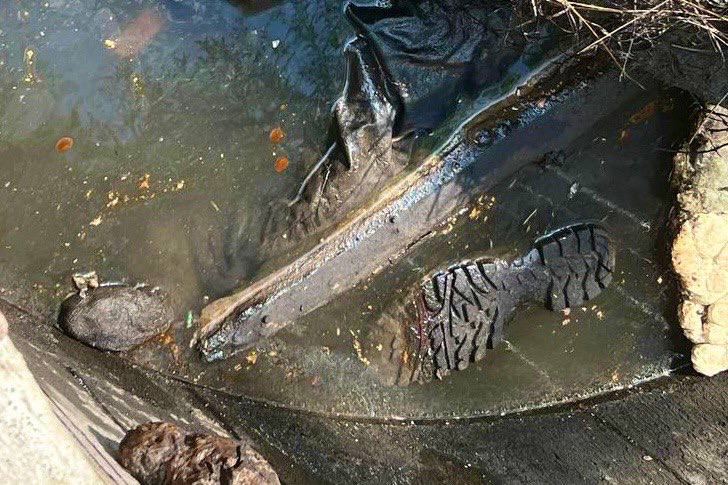 На Київщині у колодязі знайшли тіло загиблого під час російської окупації.