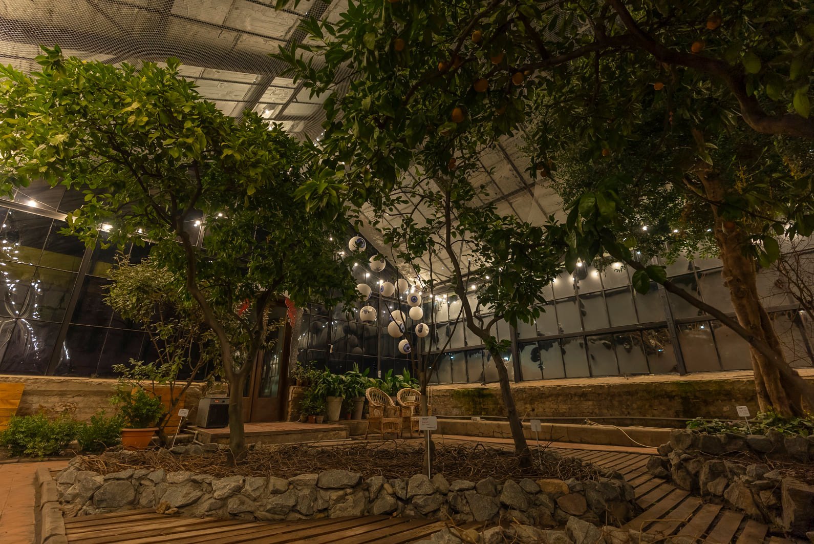 На ВДНГ відкриється оранжерея.