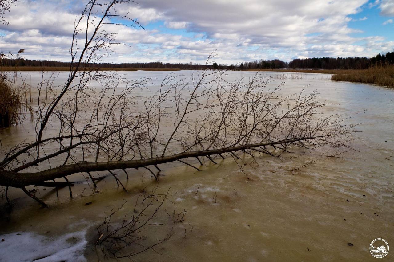 У Чорнобильській зоні стрімко піднявся рівень води у річці.