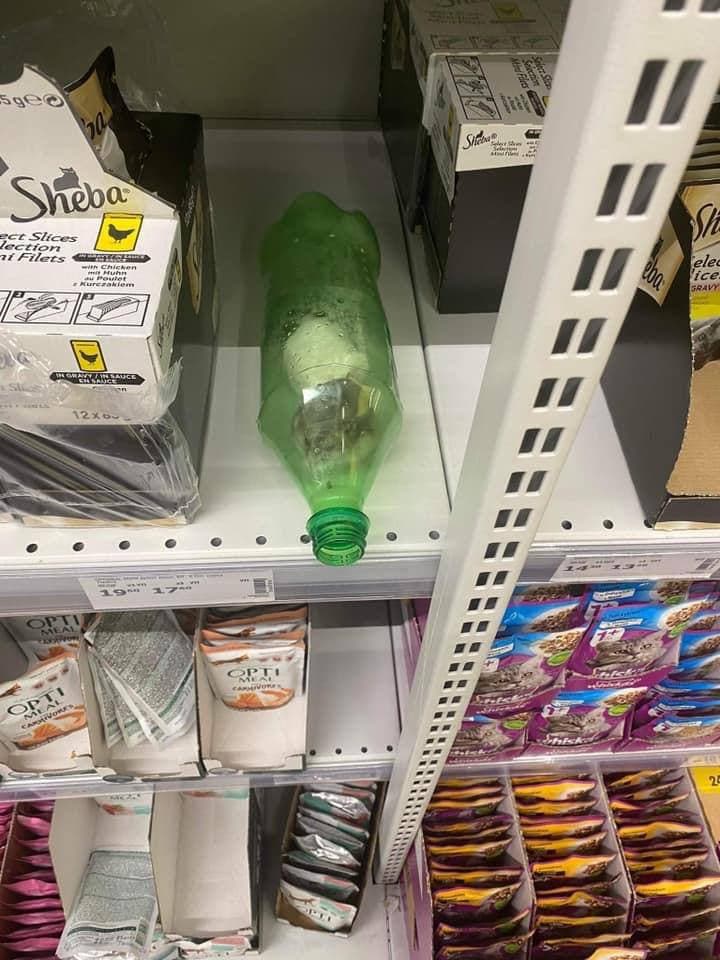 Хомяки в пластиковой бутылке.