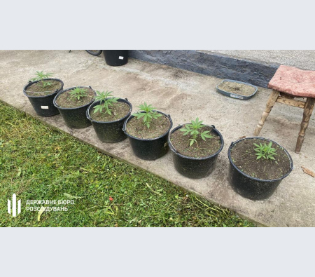 В Киевской области разоблачили наркогруппировку, которой руководили спецслужбы РФ.