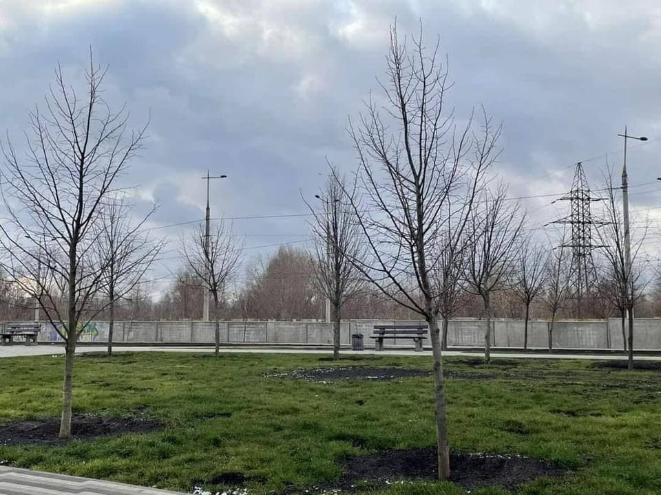 Новая площадка для выгула собак