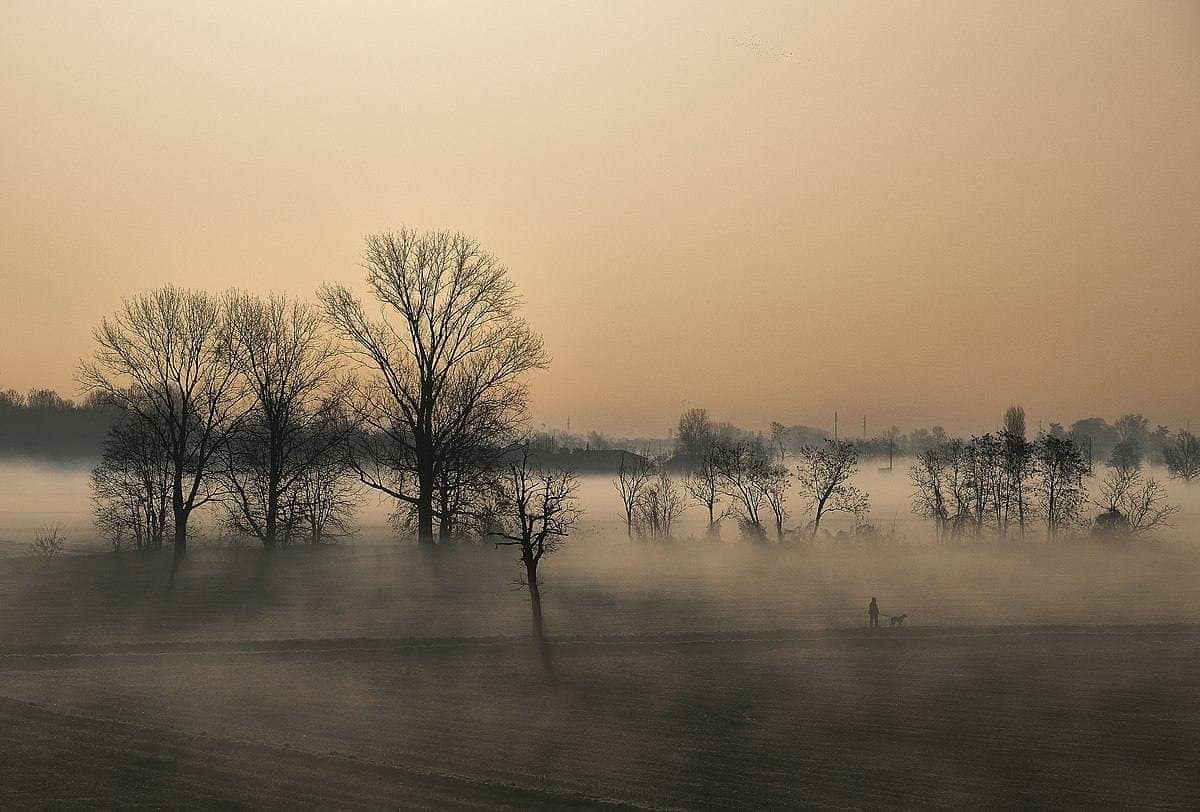 Парк Agricolo Sud Milano вблизи Розате, Италия || Фото: wikiloveseaeth.org