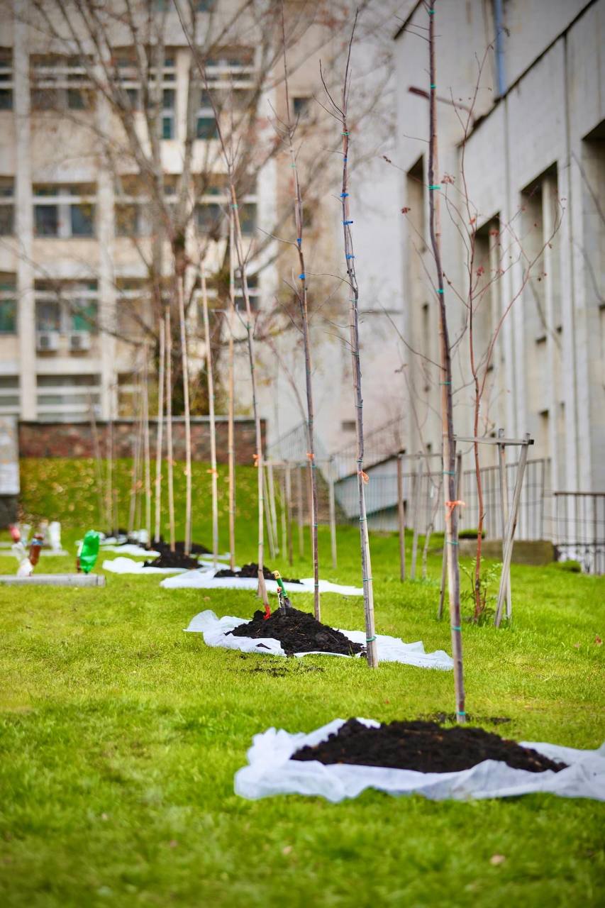На территории студгородка КПИ создали новый парк.