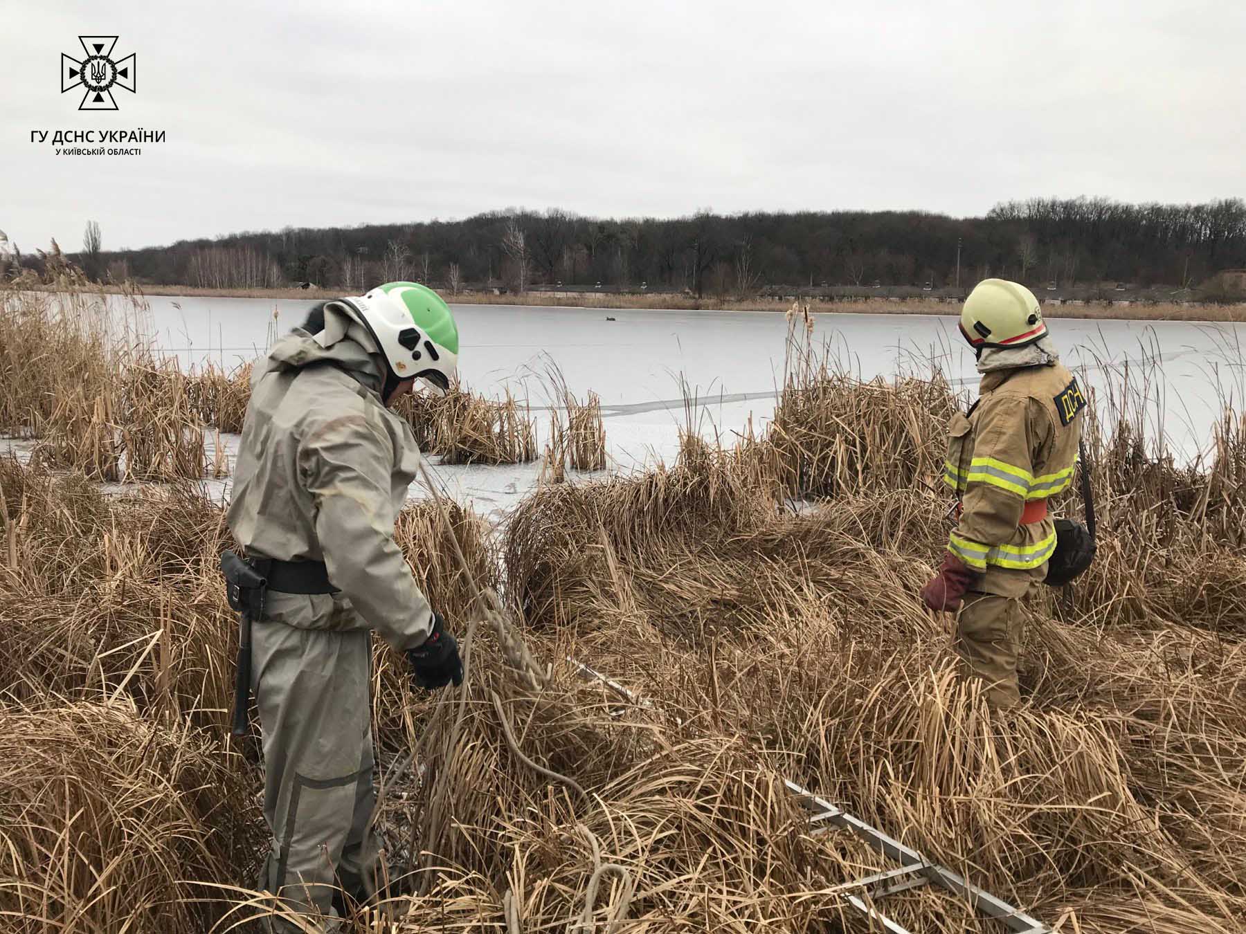 В Киевской области спасатели достали из озера раненого оленя.