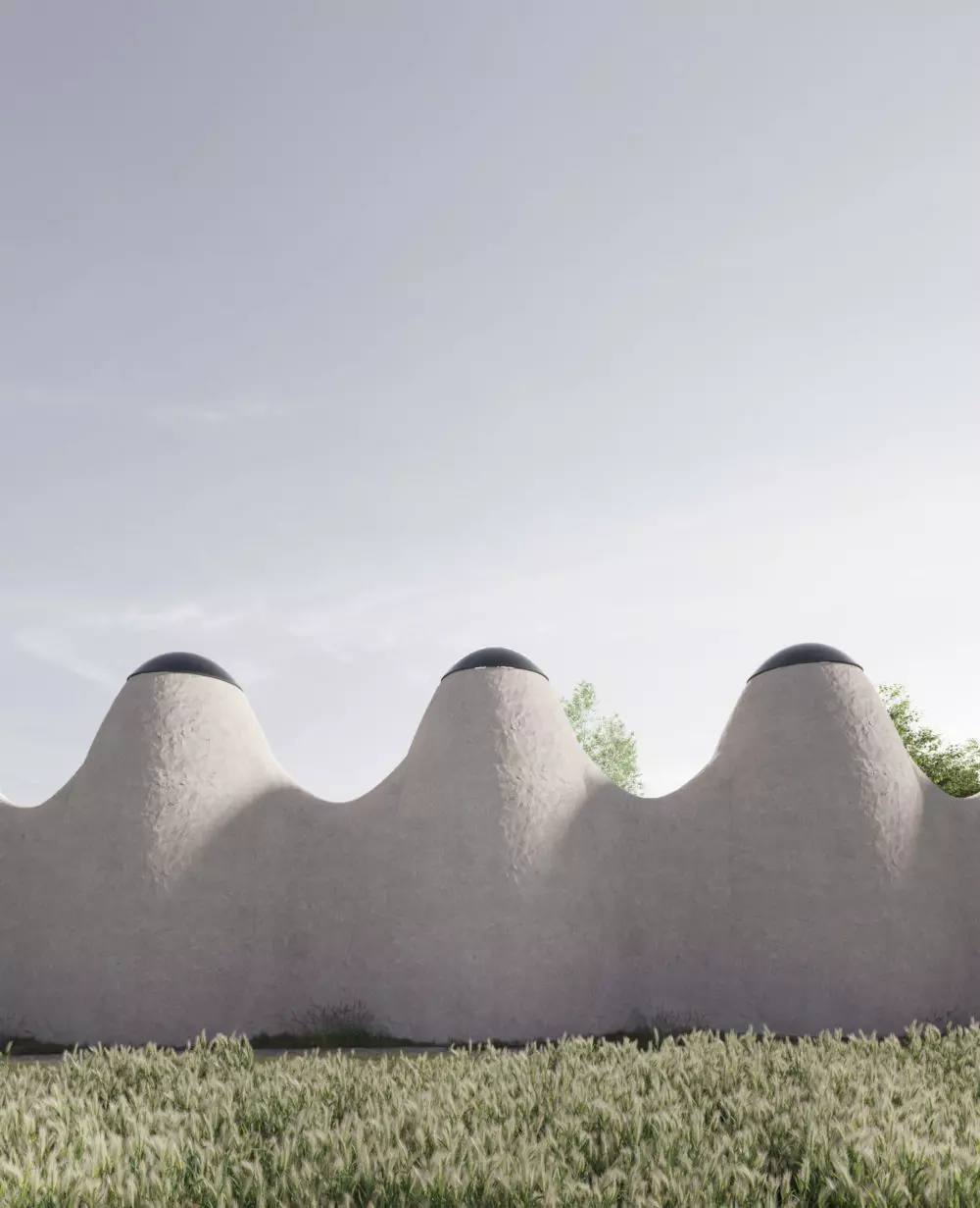 В Киевской области построят артпространство имени Марии Примаченко: как будет выглядеть.