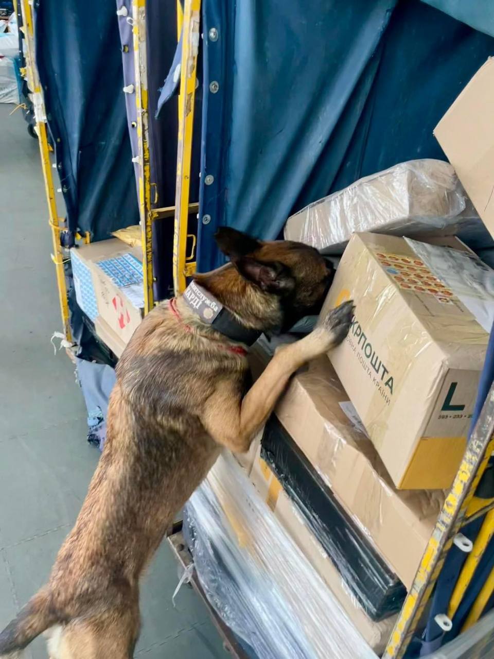 Киевские таможенники изъяли необычный 15-сантиметровый драгоценный камень.