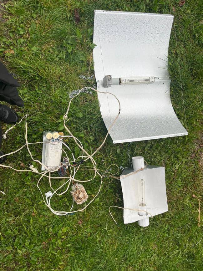 Под Киевом в частном подворье обнаружили плантацию марихуаны.